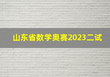 山东省数学奥赛2023二试