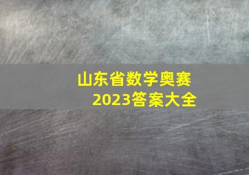 山东省数学奥赛2023答案大全