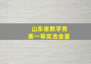 山东省数学竞赛一等奖含金量