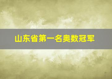 山东省第一名奥数冠军