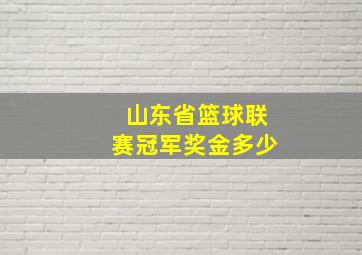 山东省篮球联赛冠军奖金多少