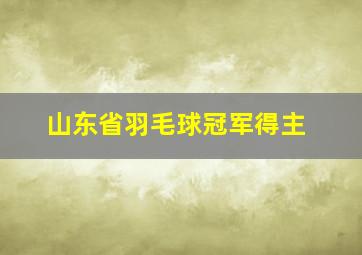 山东省羽毛球冠军得主