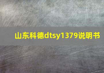 山东科德dtsy1379说明书