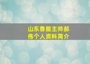 山东鲁能主帅郝伟个人资料简介