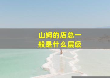 山姆的店总一般是什么层级