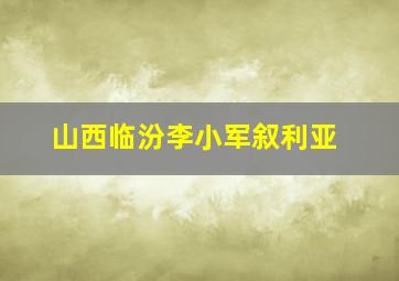 山西临汾李小军叙利亚