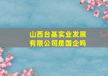 山西台基实业发展有限公司是国企吗