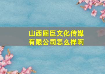 山西图臣文化传媒有限公司怎么样啊