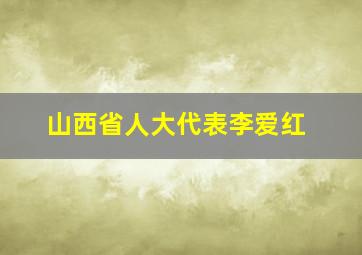 山西省人大代表李爱红