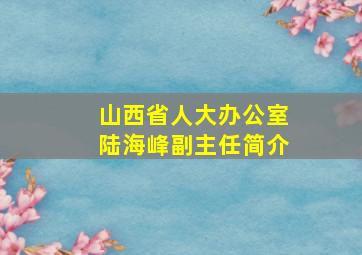 山西省人大办公室陆海峰副主任简介