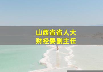 山西省省人大财经委副主任