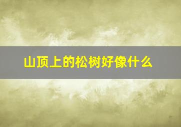 山顶上的松树好像什么