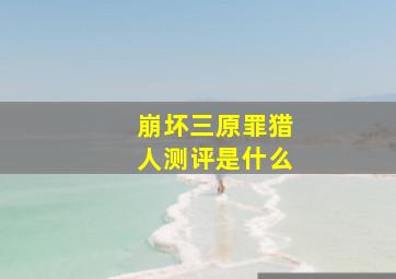 崩坏三原罪猎人测评是什么