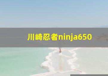 川崎忍者ninja650