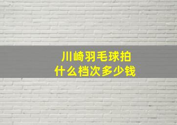 川崎羽毛球拍什么档次多少钱