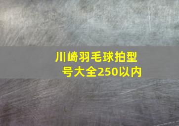 川崎羽毛球拍型号大全250以内