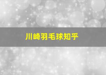 川崎羽毛球知乎