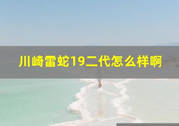 川崎雷蛇19二代怎么样啊