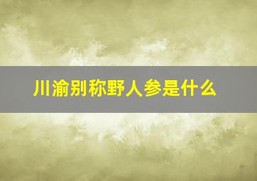 川渝别称野人参是什么