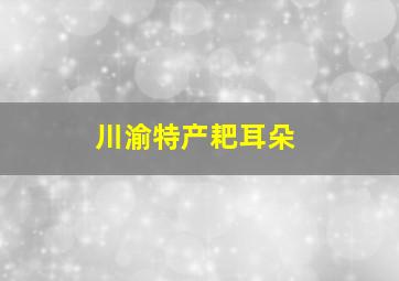 川渝特产耙耳朵