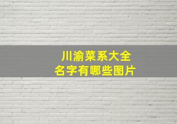 川渝菜系大全名字有哪些图片