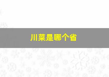 川菜是哪个省