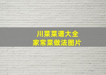 川菜菜谱大全家常菜做法图片