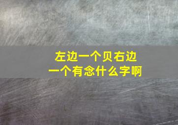 左边一个贝右边一个有念什么字啊