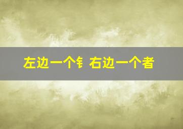 左边一个钅右边一个者