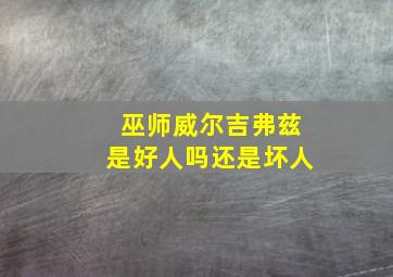 巫师威尔吉弗兹是好人吗还是坏人