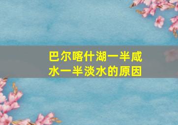 巴尔喀什湖一半咸水一半淡水的原因