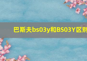 巴斯夫bs03y和BS03Y区别