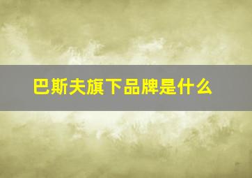 巴斯夫旗下品牌是什么