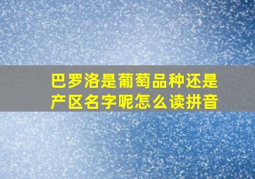 巴罗洛是葡萄品种还是产区名字呢怎么读拼音