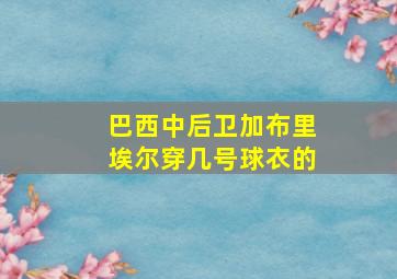 巴西中后卫加布里埃尔穿几号球衣的