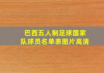 巴西五人制足球国家队球员名单表图片高清