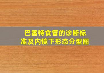 巴雷特食管的诊断标准及内镜下形态分型图