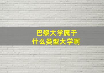 巴黎大学属于什么类型大学啊