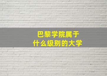 巴黎学院属于什么级别的大学