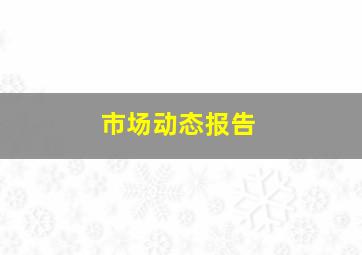 市场动态报告