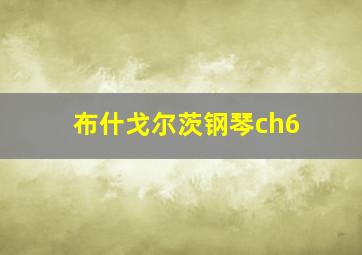 布什戈尔茨钢琴ch6