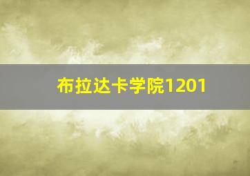 布拉达卡学院1201