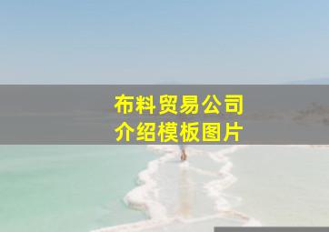 布料贸易公司介绍模板图片