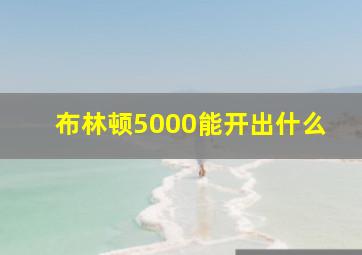 布林顿5000能开出什么