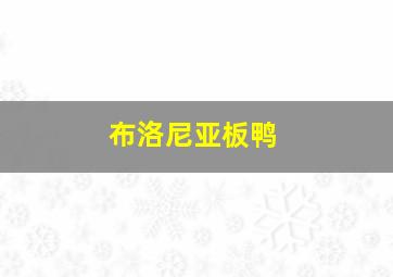 布洛尼亚板鸭