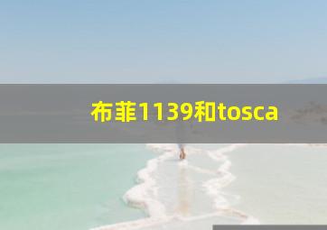 布菲1139和tosca