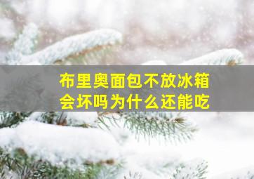 布里奥面包不放冰箱会坏吗为什么还能吃