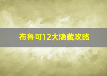 布鲁可12大隐藏攻略