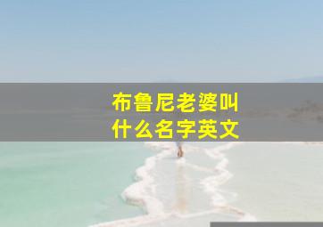 布鲁尼老婆叫什么名字英文