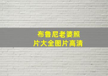 布鲁尼老婆照片大全图片高清